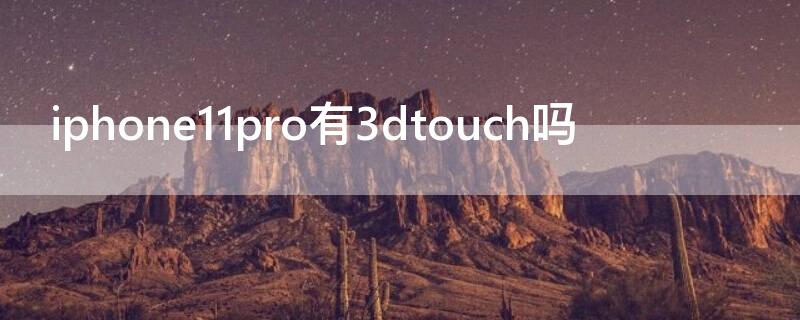 iPhone11pro有3dtouch吗（苹果11pro有3d touch吗）