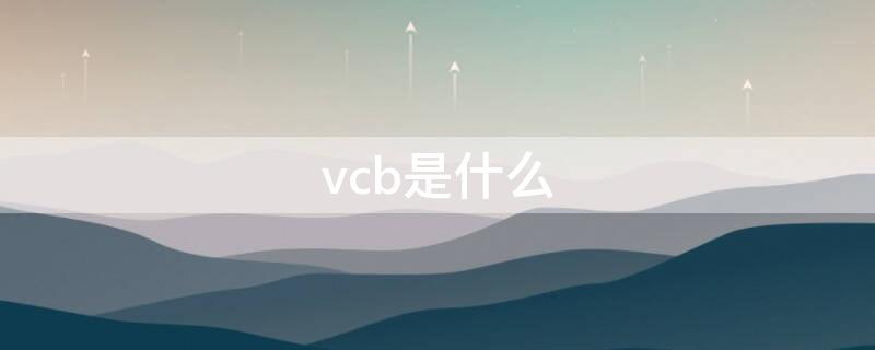 vcb是什么（vcb是什么品牌真空断路器）