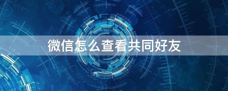 微信怎么查看共同好友 微信怎么查看共同好友 查看共同好友方法