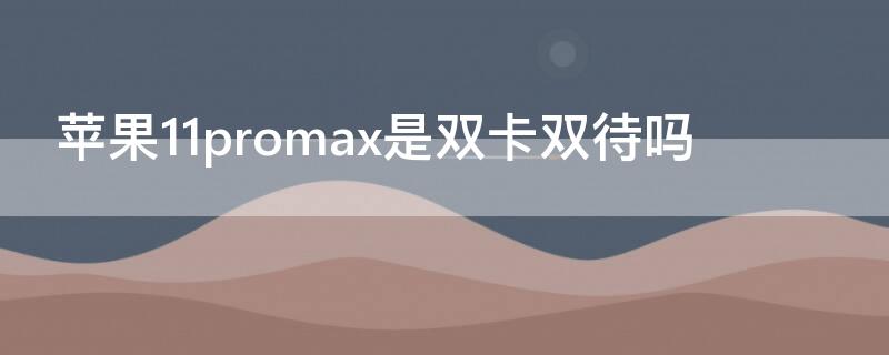 iPhone11promax是双卡双待吗（苹果11promax是双卡双待吗?）