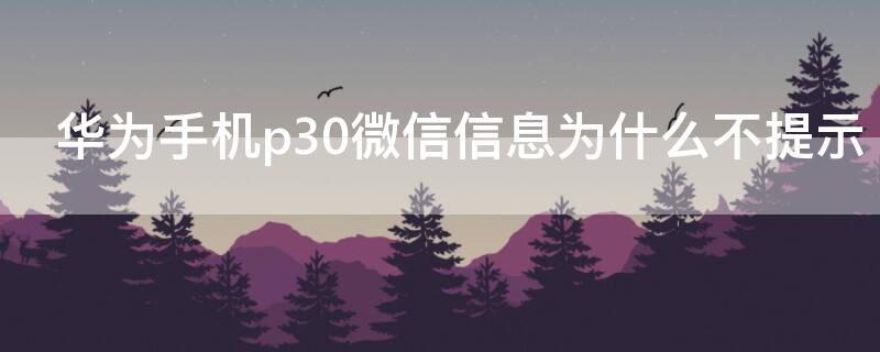 华为手机p30微信信息为什么不提示（华为p30pro微信信息不提示）