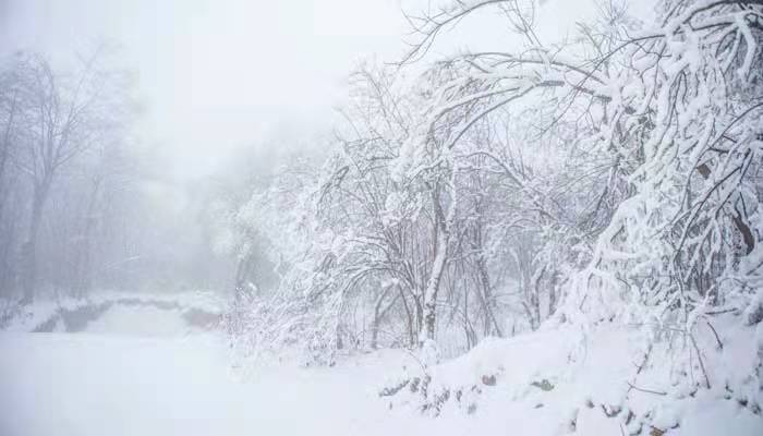 雪融化的诗句