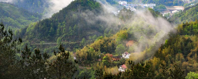 大别山在哪