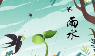 雨水节气下雨吗（有雨水节气吗）