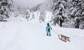 滑雪前不能吃太饱是为什么（滑雪前不能吃得太饱是为什么）