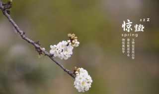 在惊蛰节气出生的名人伟人都有谁（节气惊蛰百科）