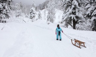 形容雪的优美诗句（形容雪的优美诗句李白）