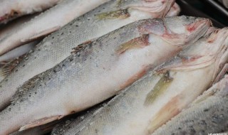 白鱼的营养价值及功效 白鱼的营养成分