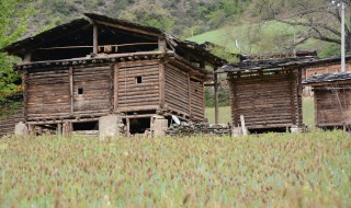 独龙族民居特点（独龙族民居的特点）