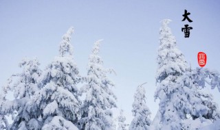 关于大雪节气的诗句有哪些（关于大雪节气的诗句古诗）