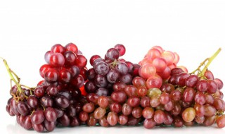 吃剩下的葡萄杆是什么垃圾 葡萄干什么垃圾