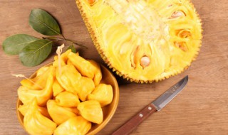 菠萝蜜树在北方能种吗 果树在北方能种植吗