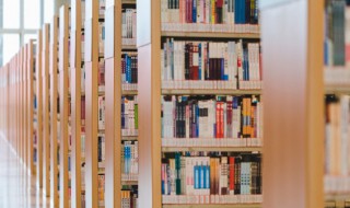 小学一年级上册组词(小学一年级上册组词尖)