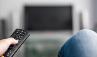 沈青禾结局（沈青禾结局小说）