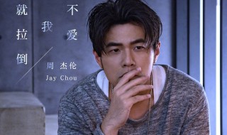 不爱我就拉倒是什么歌（不爱拉倒歌词）