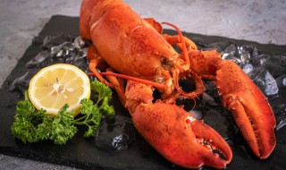 大龙虾放冷藏还是冷冻 大龙虾是冷冻还是保鲜