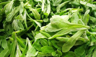 清明菜的吃法 清明节吃什么菜