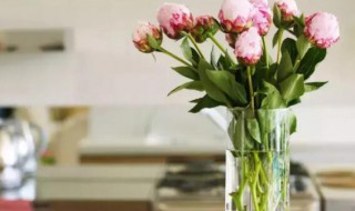 花瓶里的水多久换一次(花瓶里的水多久换一次小雏菊)
