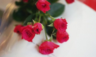 7朵玫瑰代表什么 7朵玫瑰代表什么意思?