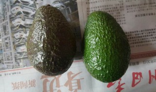牛油果没熟怎么吃(未熟的牛油果怎么吃)