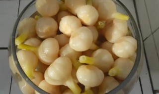 泡糖蒜用什么醋（泡糖蒜用什么醋最合适最好）