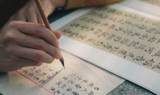 颜筋柳骨的艺术特色是什么（颜筋柳骨的艺术特色是什么250字）