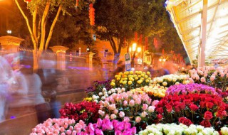 25朵玫瑰花语是什么 25朵玫瑰代表什么花语