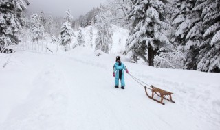 2022冬奥会七言诗 2022冬奥会七言诗四句书法