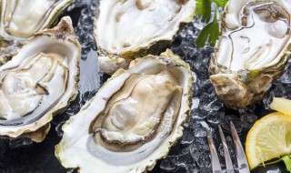 生蚝里面墨绿色的部位能吃吗 生蚝绿色的部分能吃吗