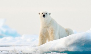 三九天是最冷的时候吗（三九哪一天最冷）