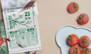 2022年数九从什么时候开始(2022数9从什么时候开始)