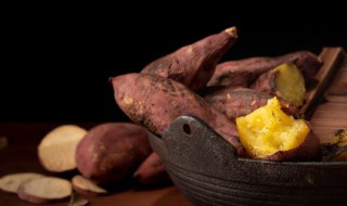 红薯粉减肥还是增肥（红薯粉增肥吗）