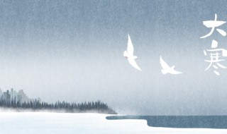 大寒是最冷的时候吗（大寒是最冷的天气吗）