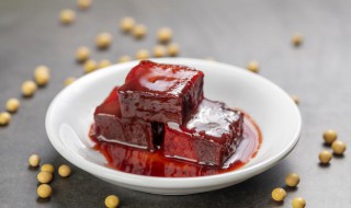 南乳汁和腐乳一样吗 南乳汁和腐乳的区别