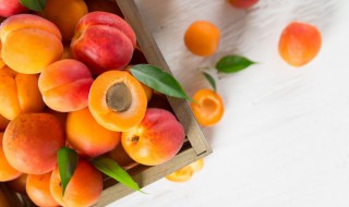 杏干是煮熟了晒还是直接晒（制作杏干直接晒还是煮了晒好）