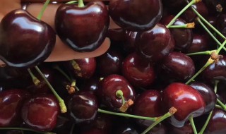 车厘子xj和j有什么区别 车厘子J区别