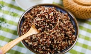 藜麦熬粥为什么有点苦（藜麦粥容易煮吗）
