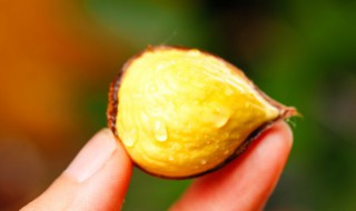 糖炒栗子凉了如何加热（糖炒栗子放凉了）