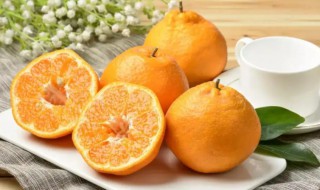 耙耙柑吃了上火吗 粑粑柑吃了上火吗(春见耙耙柑吃了上火吗