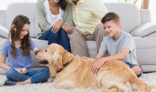 孩子突然不爱上学了怎么办（孩子不爱上学去怎么办）