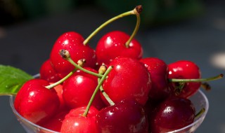 车厘子J好还是JD好 车厘子j和jd哪个好