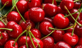 车厘子jd和2j哪个好 车厘子sjd和2j哪个好