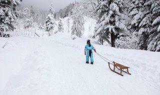 红军过雪山是哪座山（红军过雪山是哪几座山）
