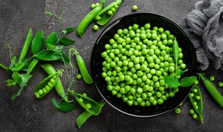 豌豆苗的种植方法是什么（家种豌豆苗的种植方法和时间）