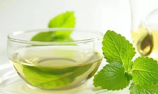 薄荷油的营养价值(薄荷油百科)