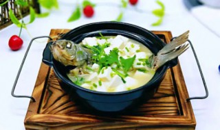 怎么用砂锅熬鲫鱼汤 砂锅清炖鲫鱼汤的做法
