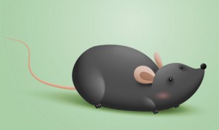 梦到老鼠跑来跑去是什么意思 梦到很多老鼠跑来跑去是什么意思