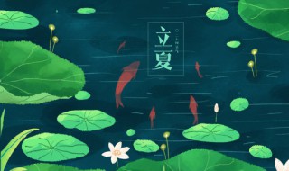 2022年立夏天气热了吗（2022年天气会更热吗）