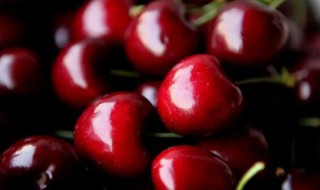 车厘子JJJ和JJ的区别（车厘子J和JJ的区别）