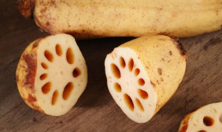 水缸里如何种植莲藕（怎样在水缸里种莲藕）